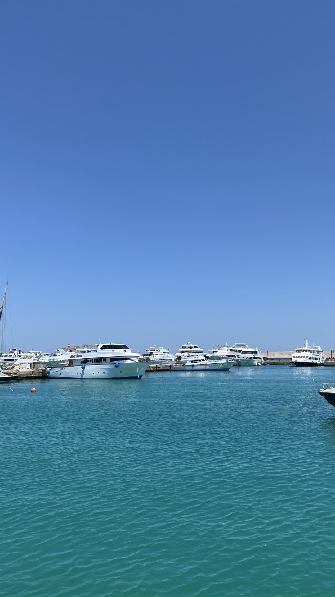 Marina, Kai Tak Cruise Terminal, Watercraft, Water, Boat. Wallpaper in 1080x1920 Resolution