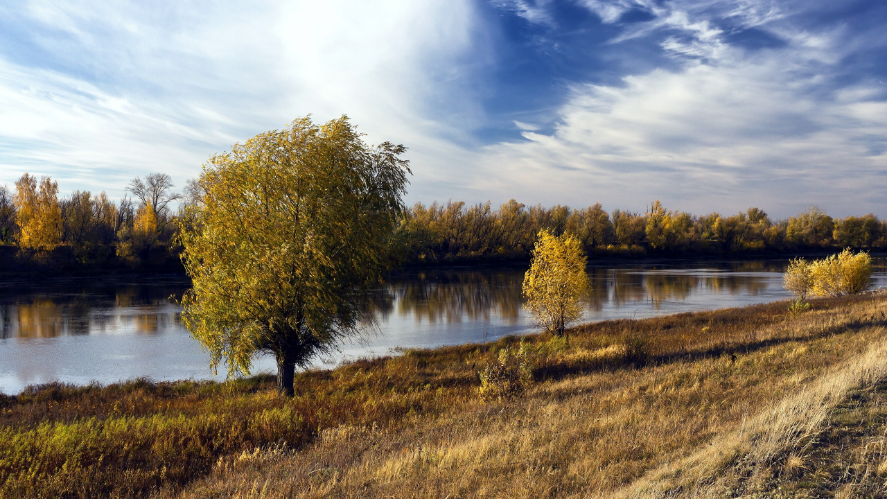Arbres Verts à Côté de la Rivière Sous Ciel Bleu Pendant la Journée. Wallpaper in 1280x720 Resolution