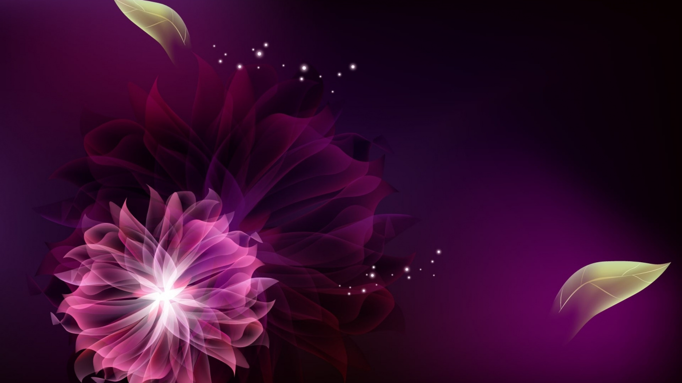 Pink and White Flower Illustration. Wallpaper in 1366x768 Resolution