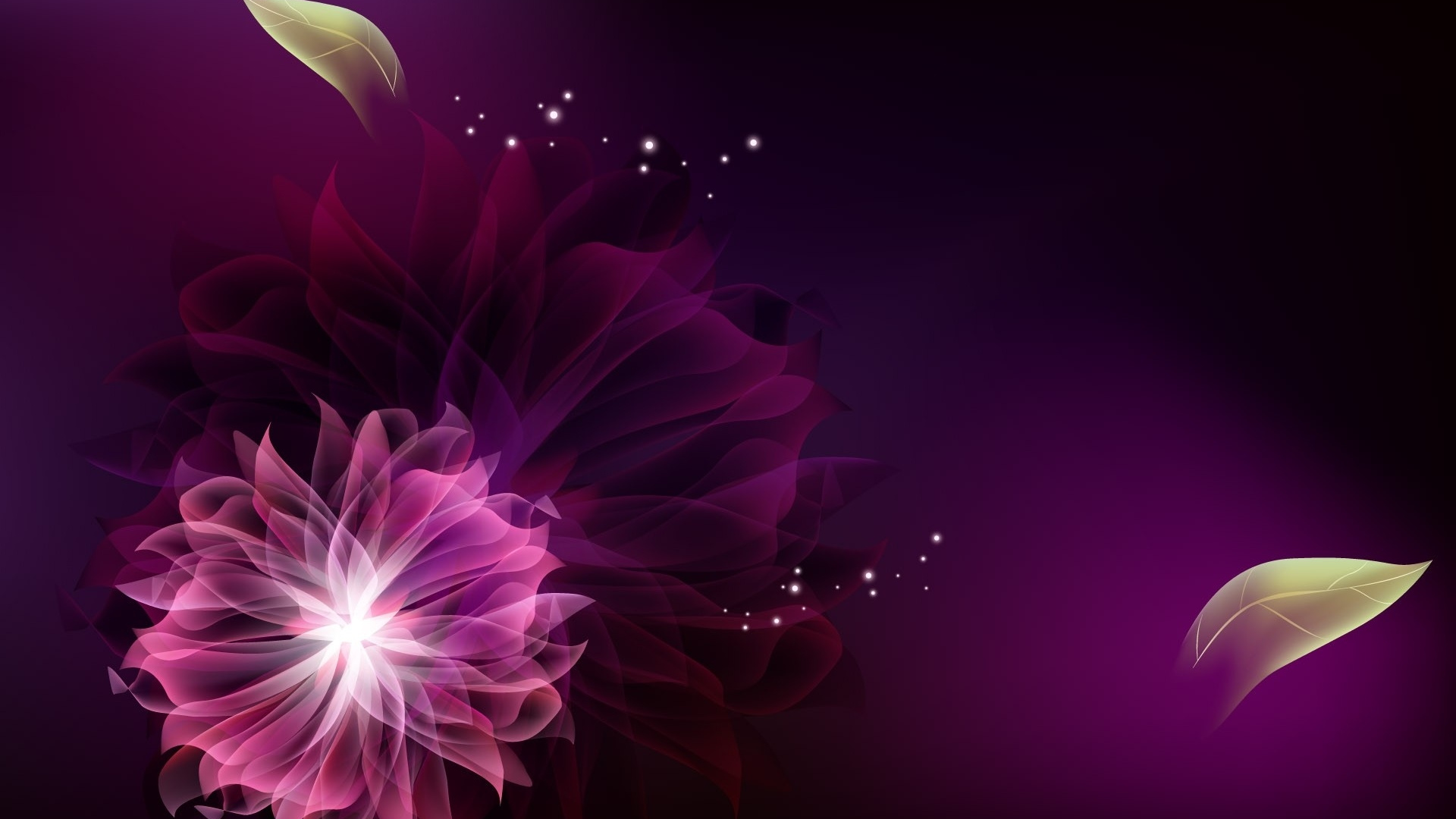 Pink and White Flower Illustration. Wallpaper in 1920x1080 Resolution