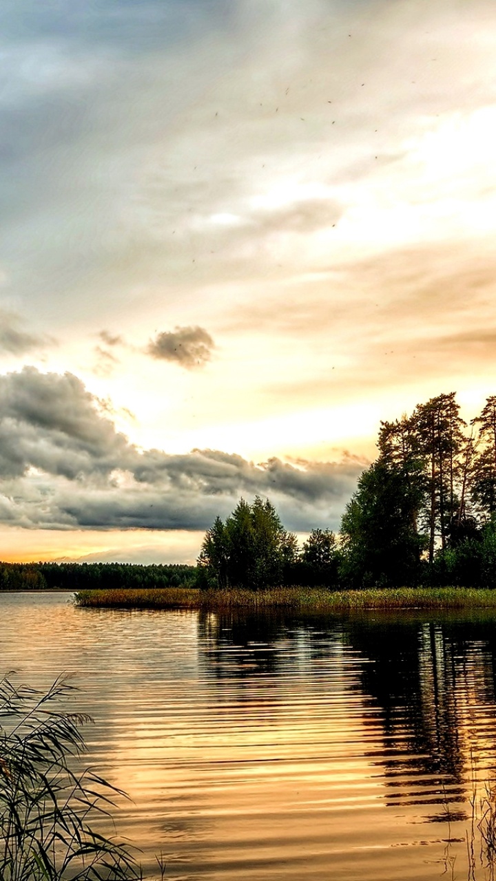Green Trees Beside Body of Water Under Cloudy Sky During Daytime. Wallpaper in 720x1280 Resolution