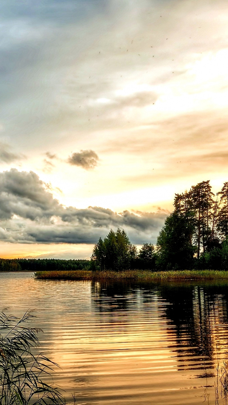 Green Trees Beside Body of Water Under Cloudy Sky During Daytime. Wallpaper in 750x1334 Resolution