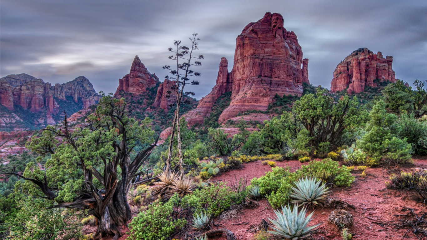 Brown Rock Formation With Green Plants During Daytime. Wallpaper in 1366x768 Resolution