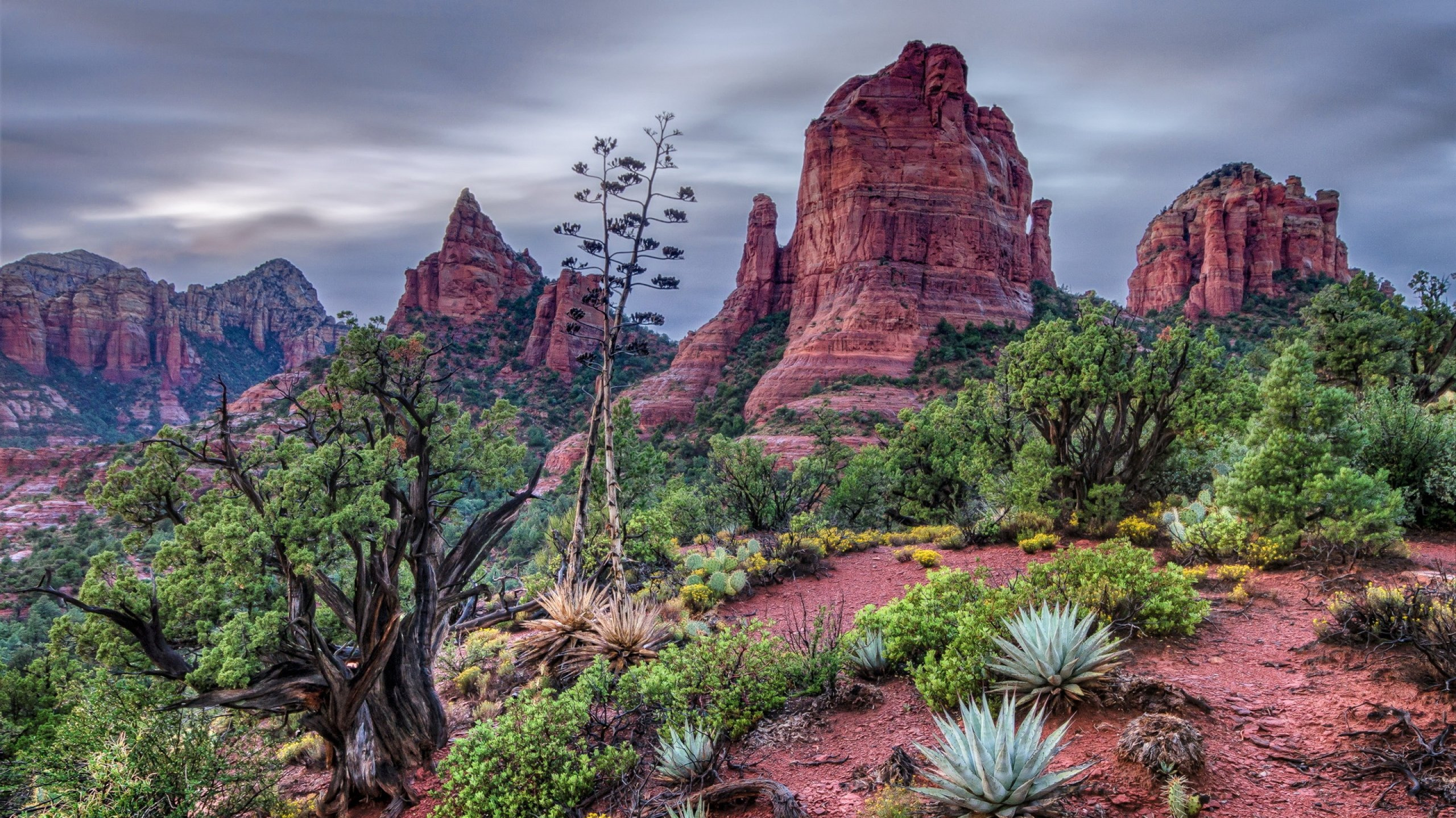 Brown Rock Formation With Green Plants During Daytime. Wallpaper in 2560x1440 Resolution