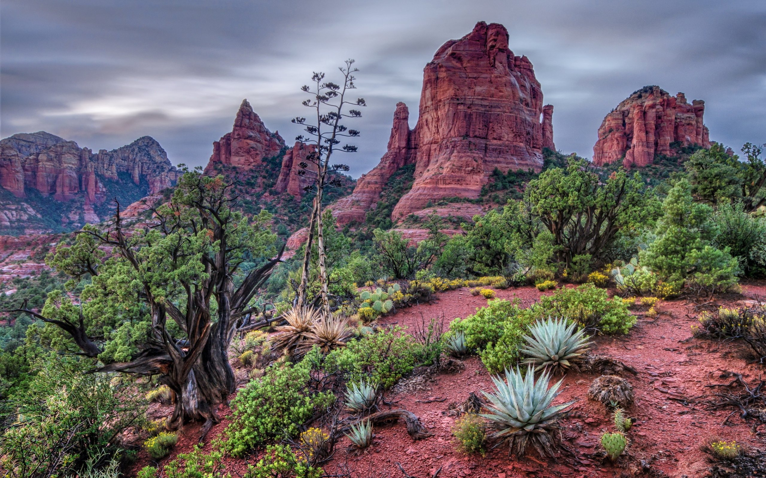 hiking wallpaper desktop