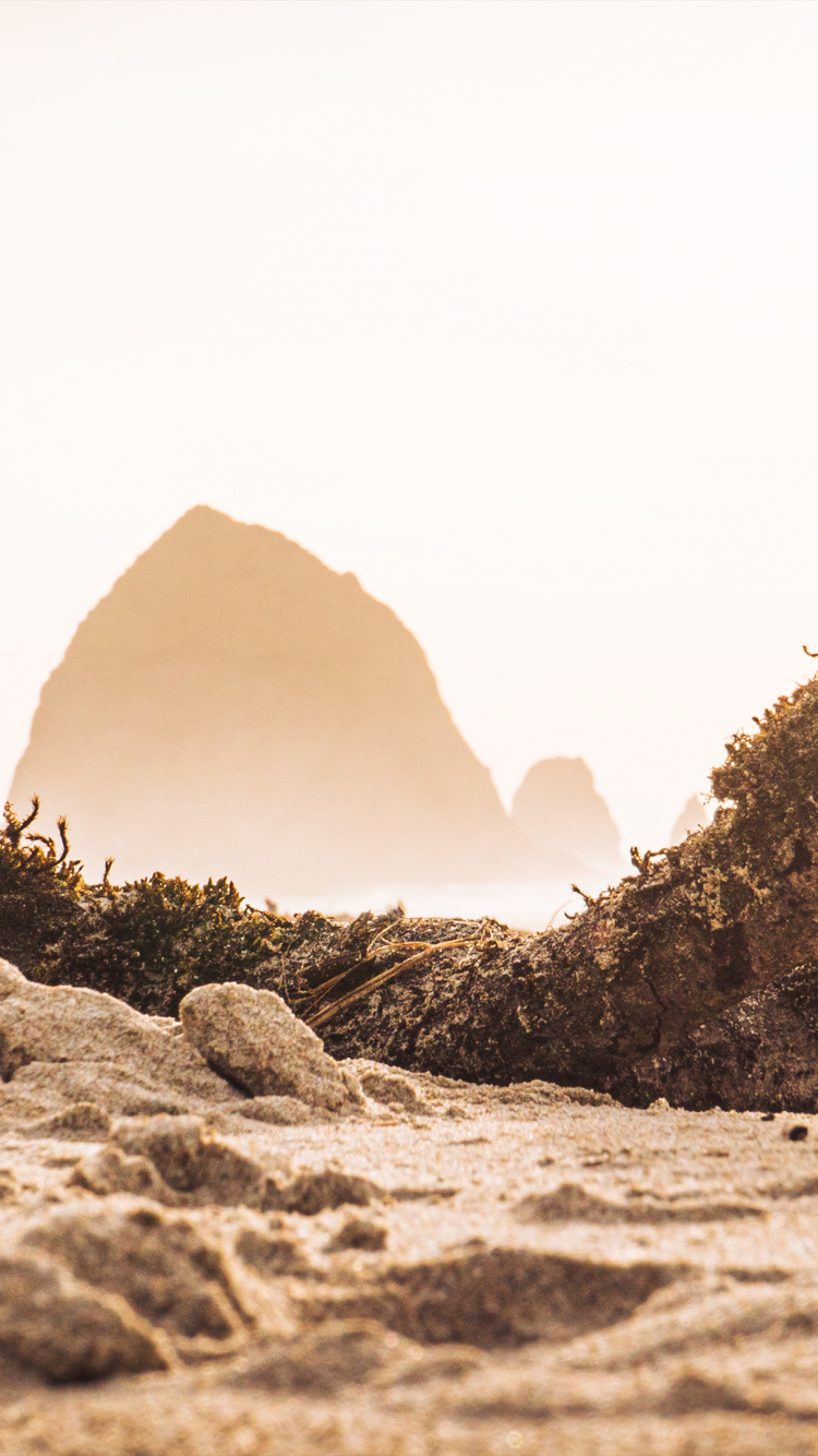 Rock, Desserts, Holz, Naturlandschaft, Gewässer. Wallpaper in 750x1334 Resolution