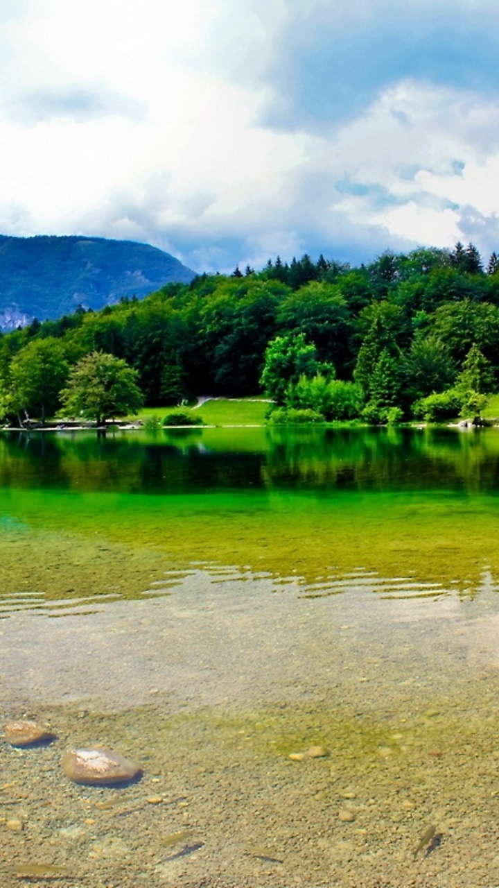 Grüne Bäume in Der Nähe Des Sees Unter Weißen Wolken Und Blauem Himmel Tagsüber. Wallpaper in 720x1280 Resolution