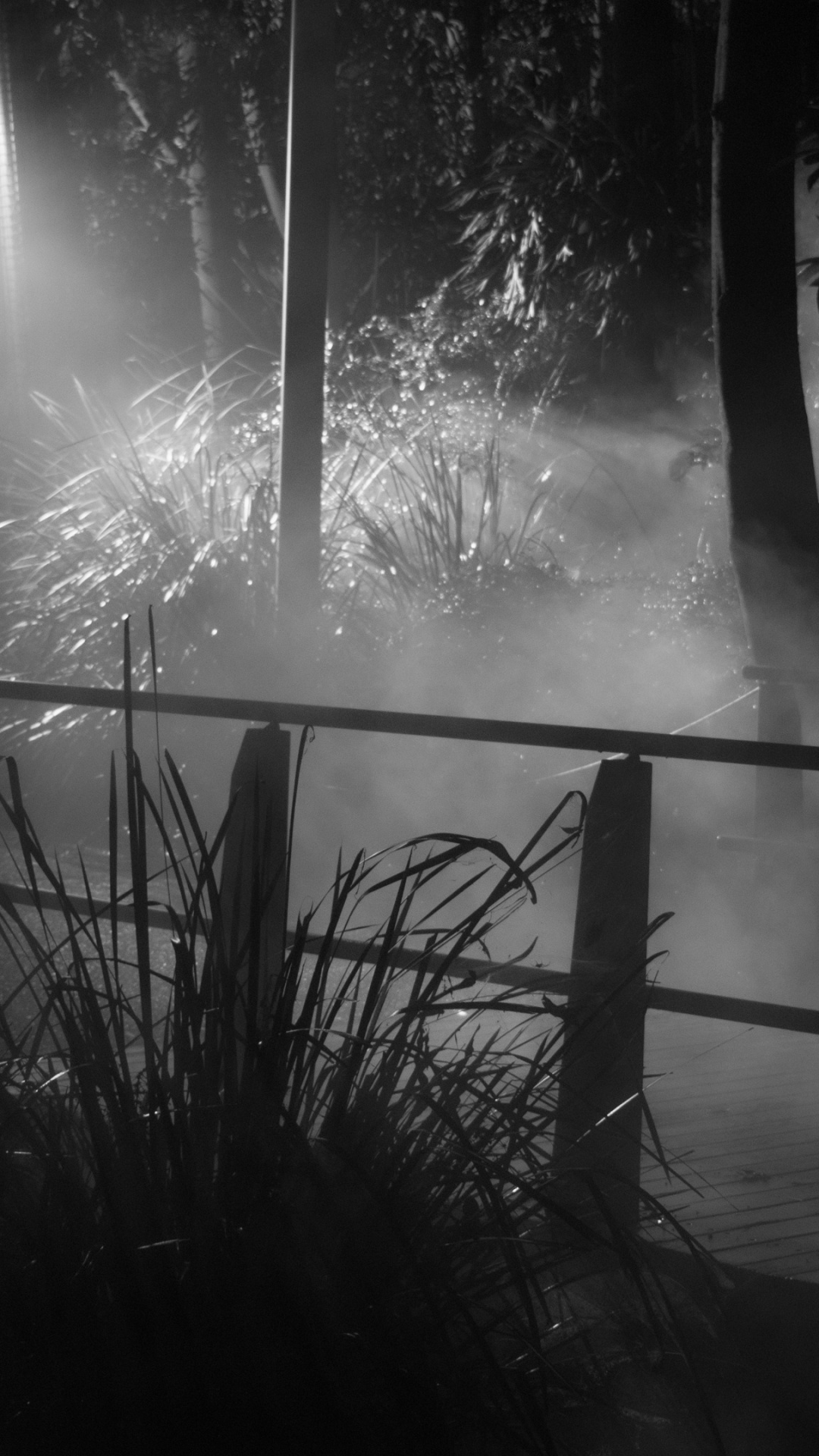 Wasser, Monochrom, Mitternacht, Nebel. Wallpaper in 1080x1920 Resolution