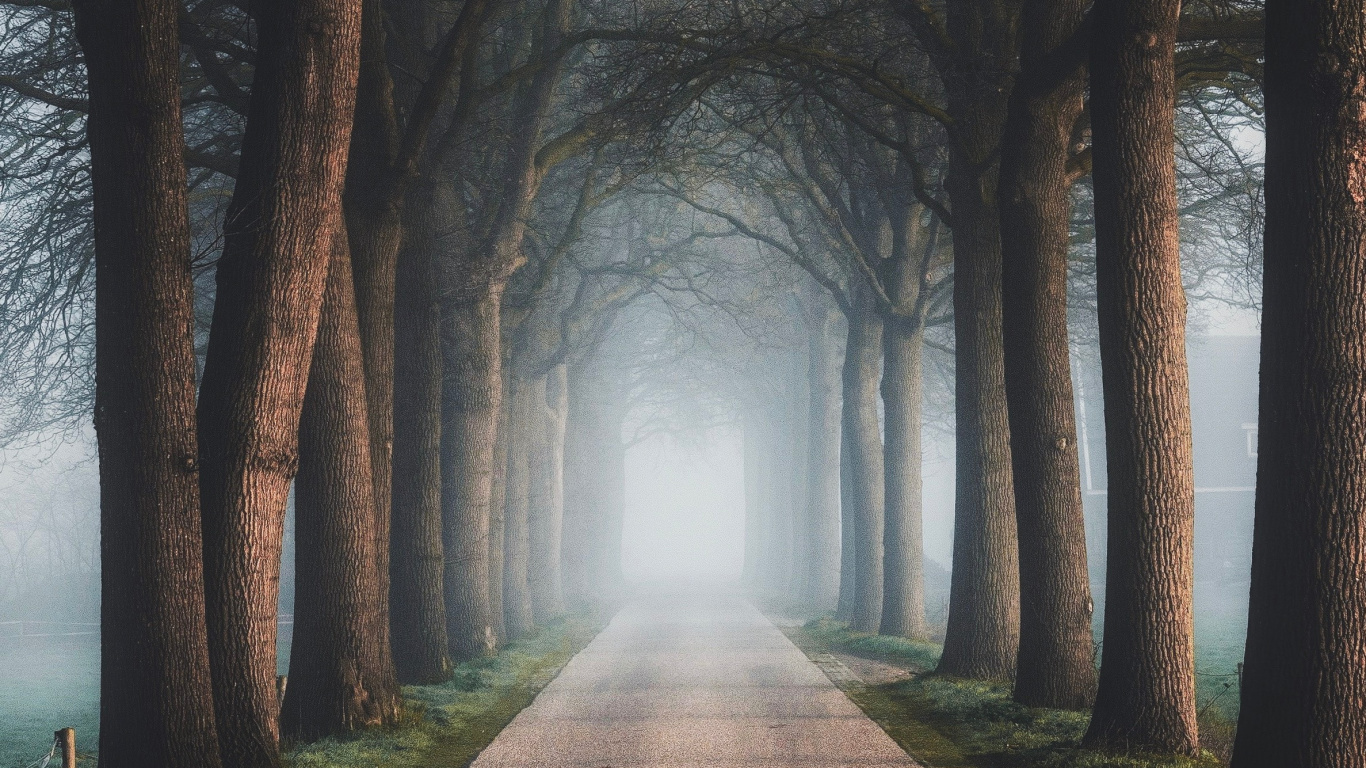 Naturaleza, Paisaje Natural, Bruma, Ambiente, Luz. Wallpaper in 1366x768 Resolution