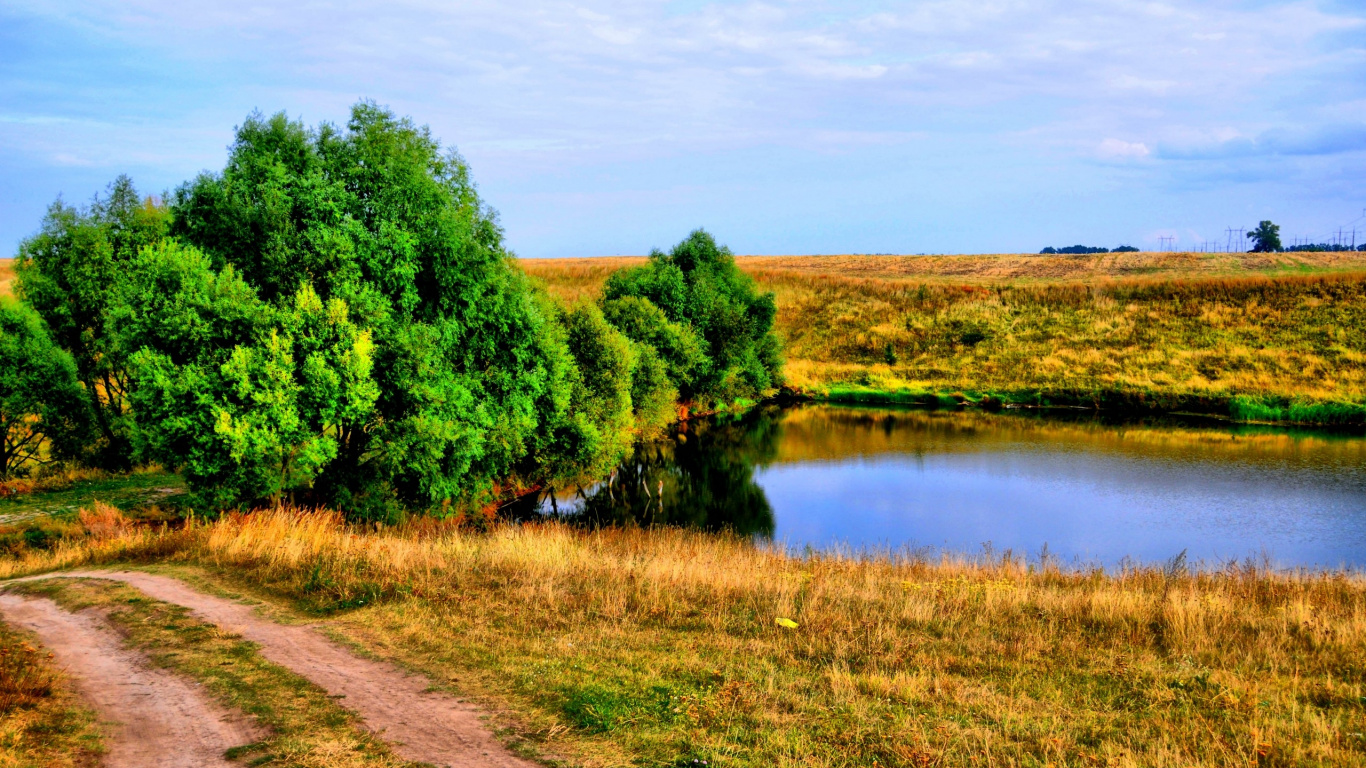 Arbres Verts à Côté de la Rivière Sous Ciel Bleu Pendant la Journée. Wallpaper in 1366x768 Resolution