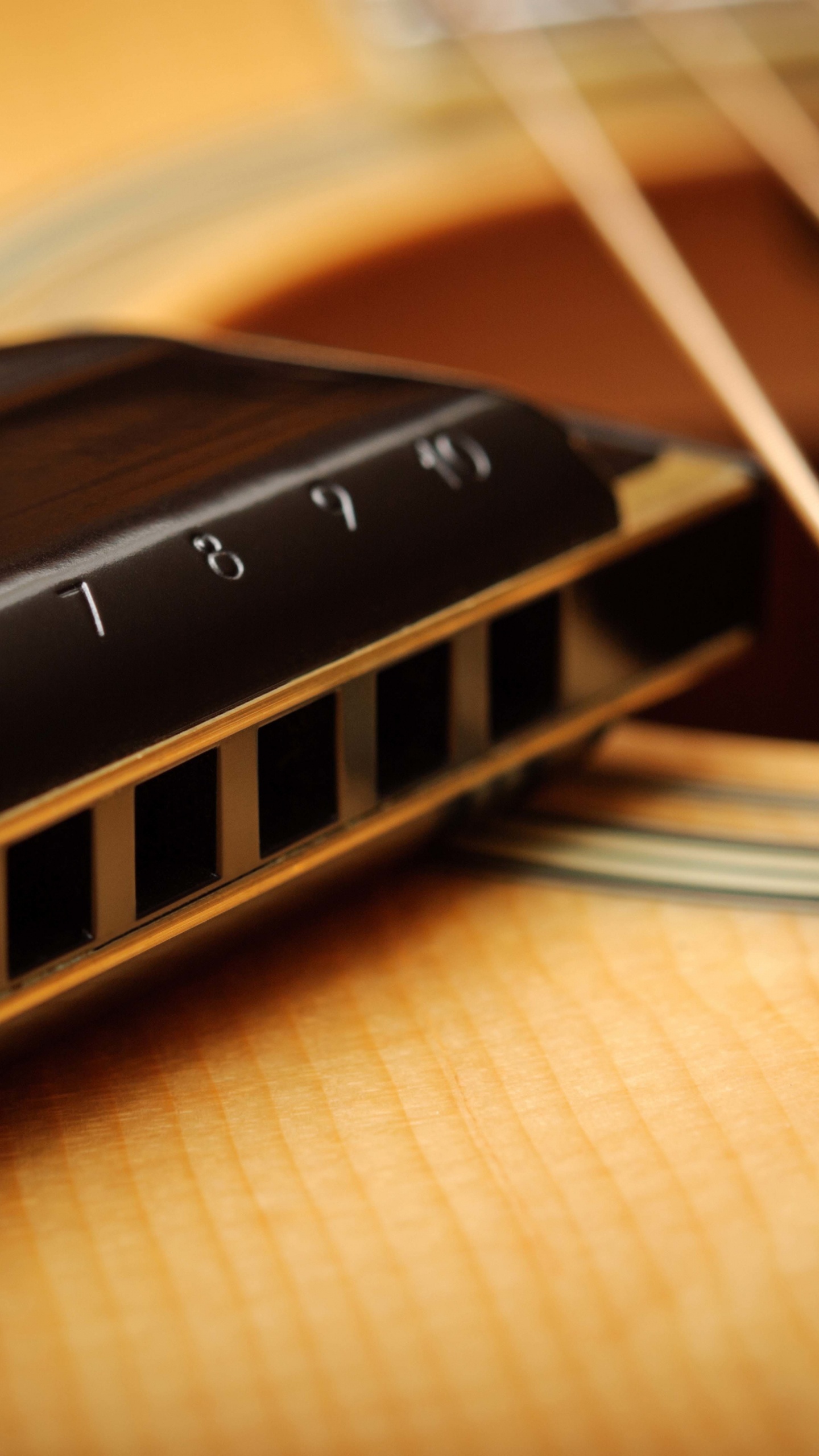 Harmonica, Guitar, Acoustic Guitar, String Instrument, Musical Instrument. Wallpaper in 1440x2560 Resolution
