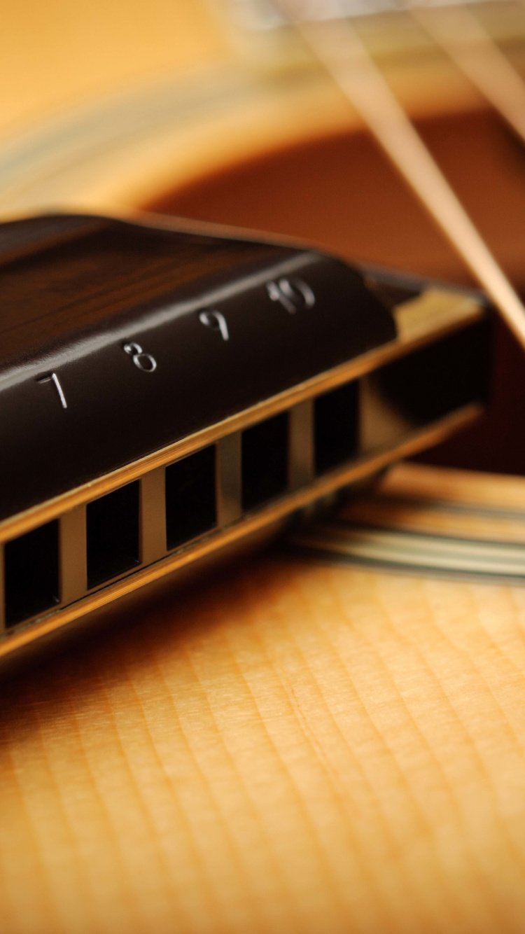 Harmonica, Guitar, Acoustic Guitar, String Instrument, Musical Instrument. Wallpaper in 750x1334 Resolution