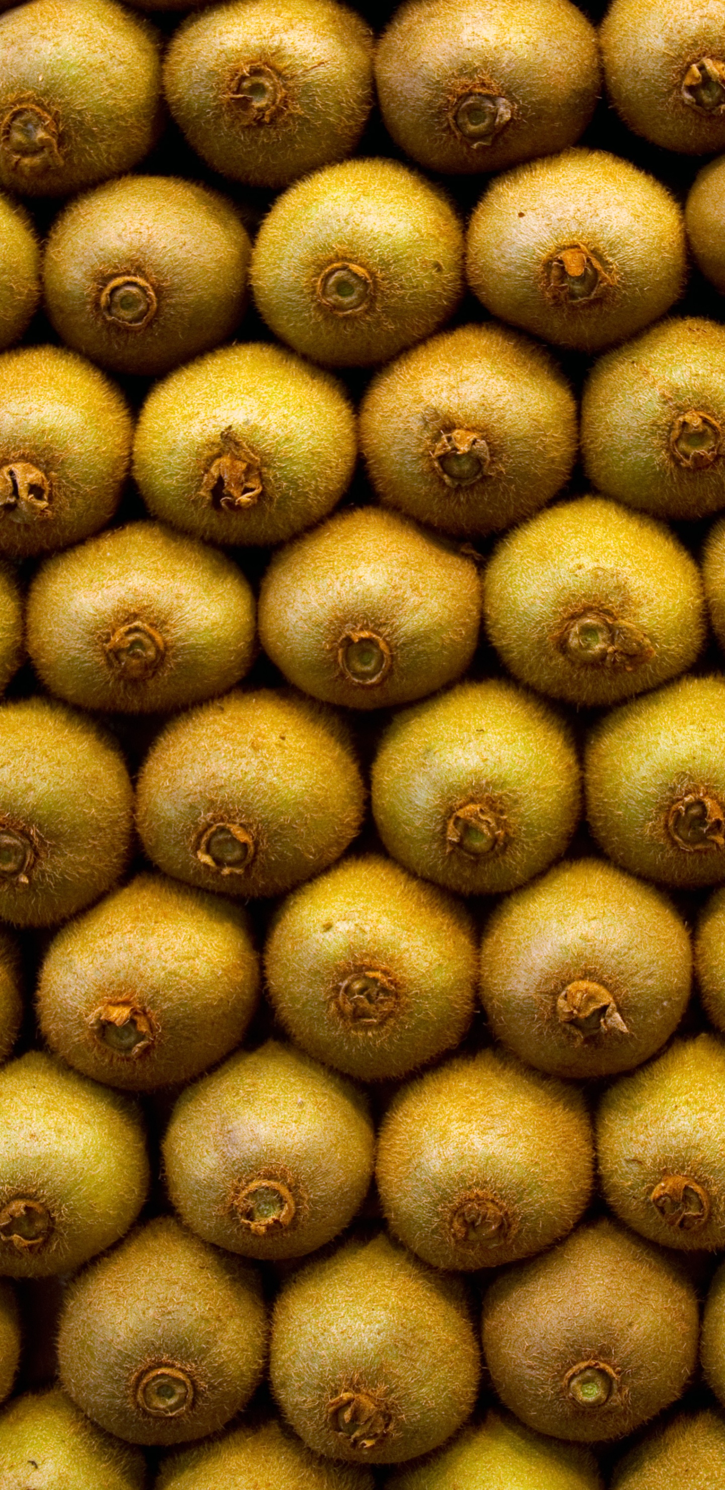 Brown and Green Oval Fruits. Wallpaper in 1440x2960 Resolution