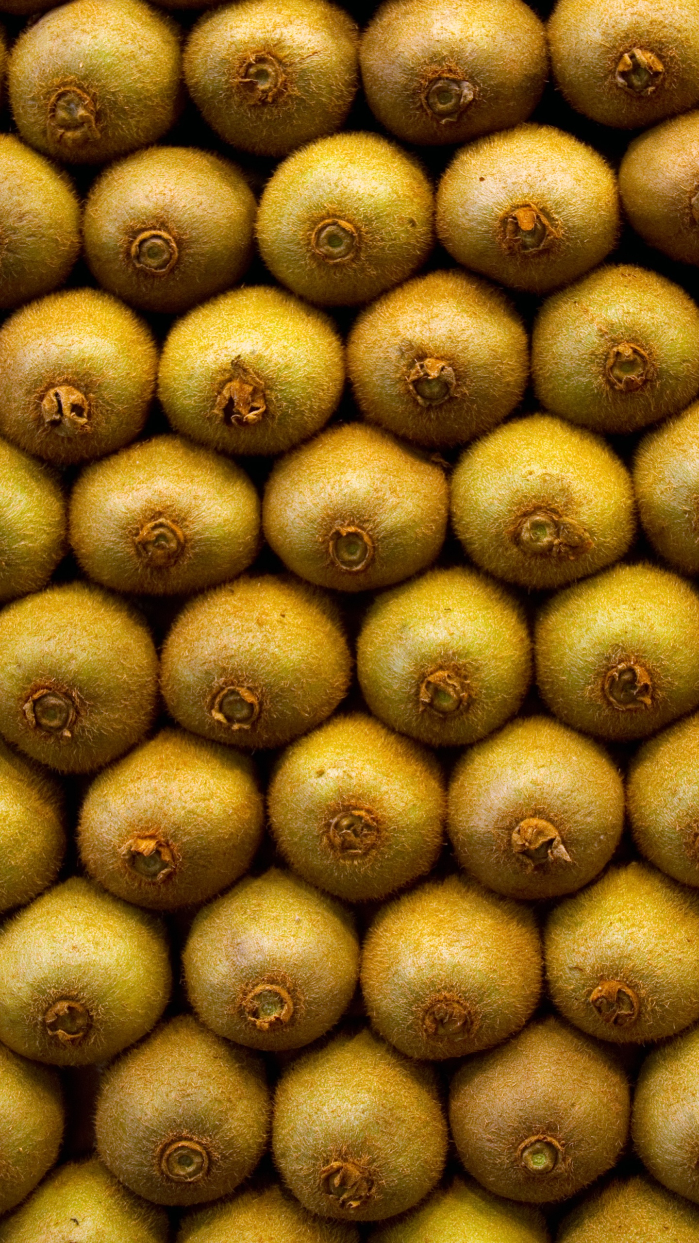 Fruits Ovales Bruns et Verts. Wallpaper in 1440x2560 Resolution