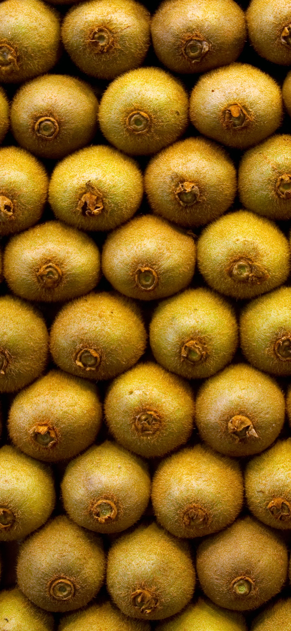 Braune Und Grüne Ovale Früchte. Wallpaper in 1125x2436 Resolution