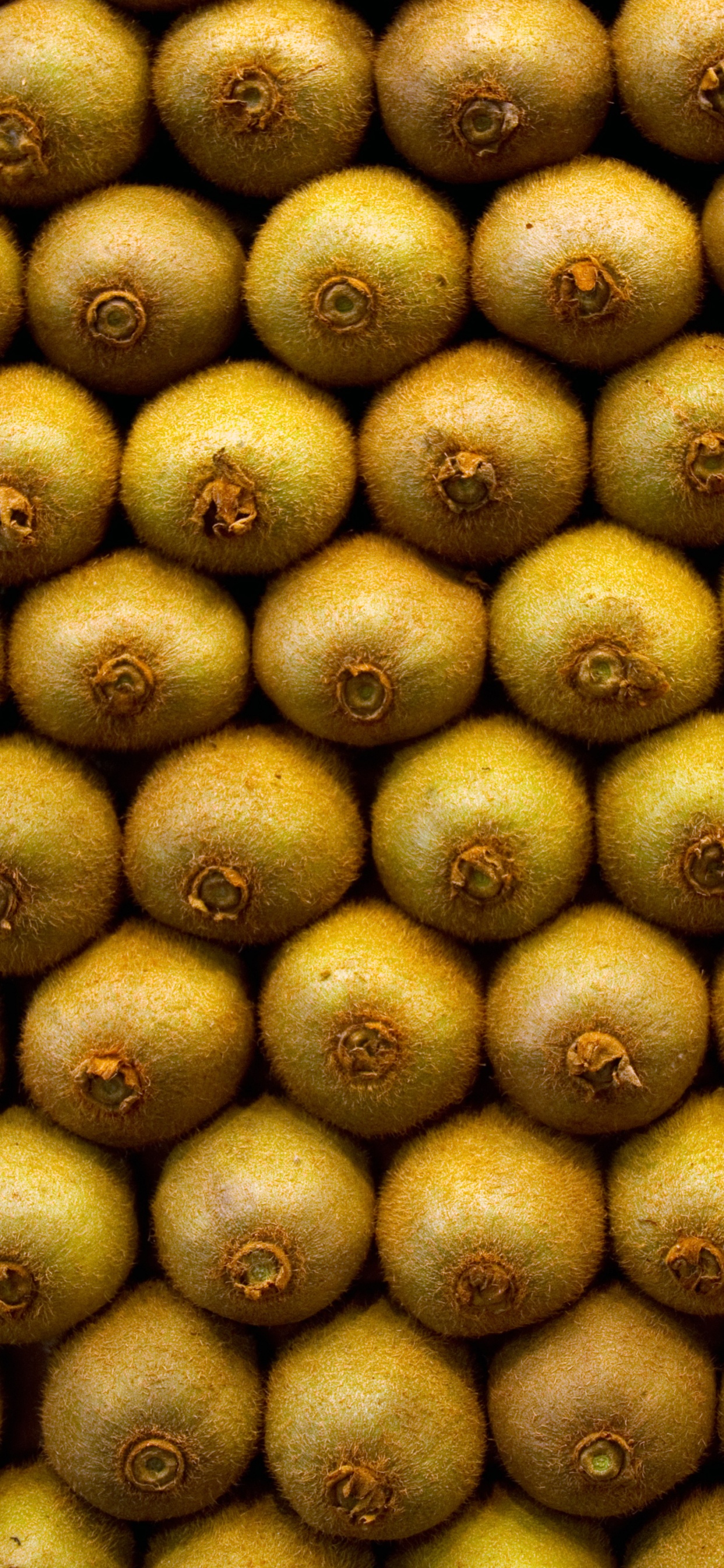 Braune Und Grüne Ovale Früchte. Wallpaper in 1242x2688 Resolution