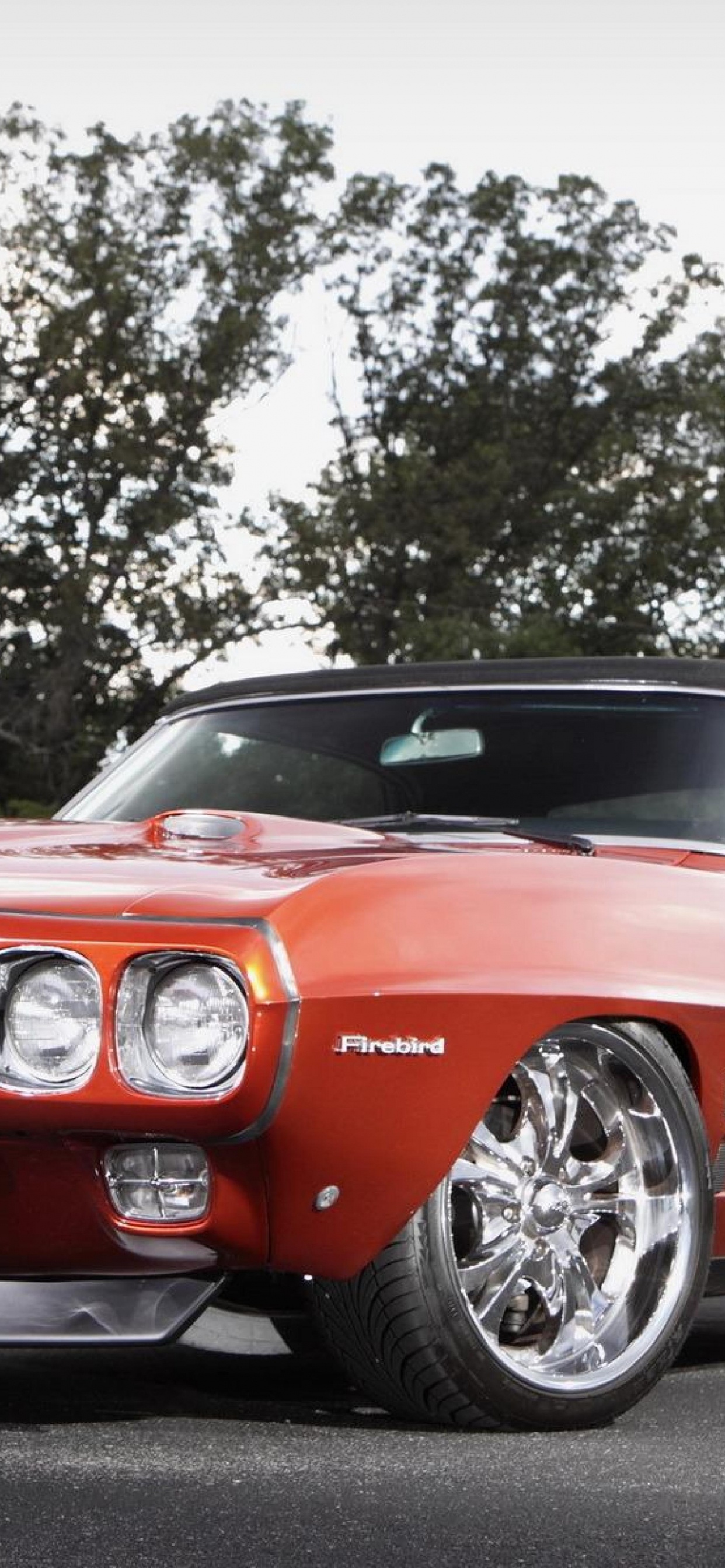 小马车, 保险杠, 政变, 轿车, 谢尔比野马 壁纸 1242x2688 允许