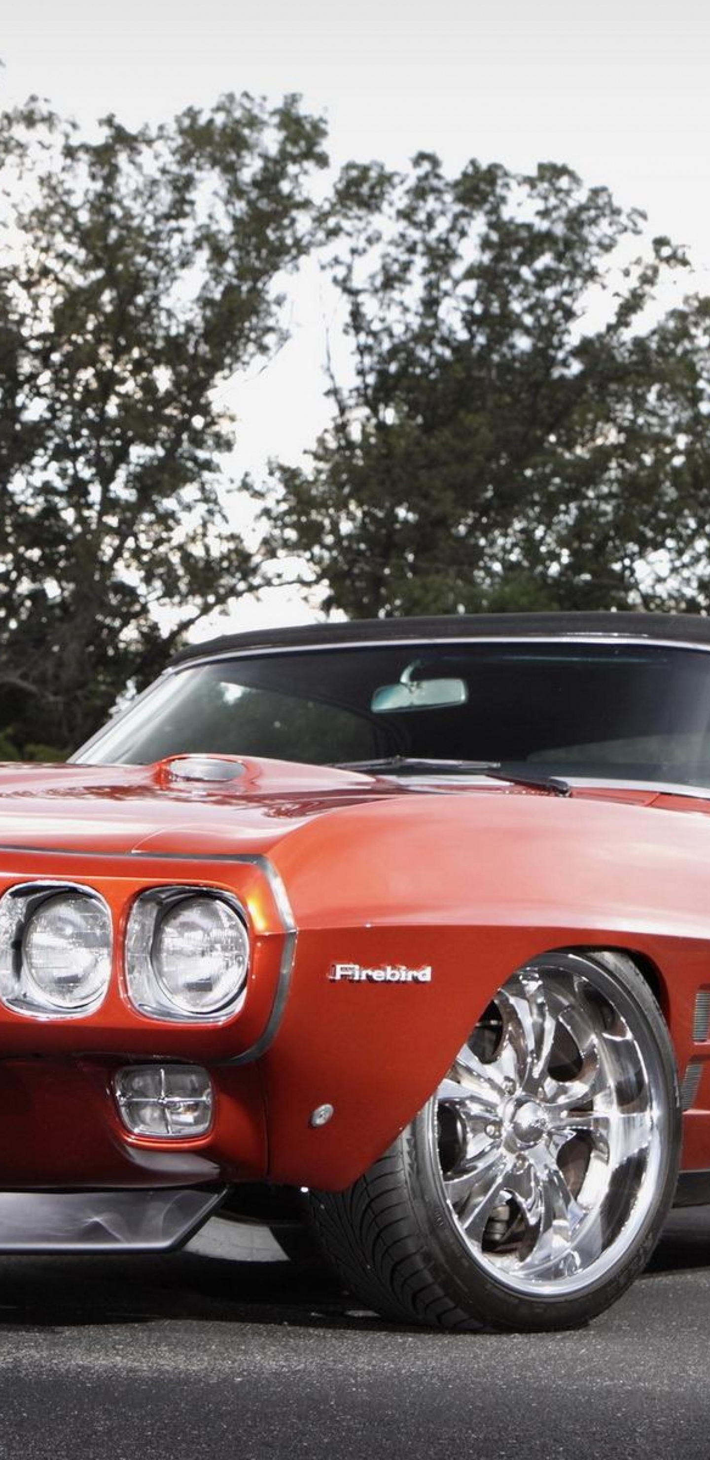 小马车, 保险杠, 政变, 轿车, 谢尔比野马 壁纸 1440x2960 允许