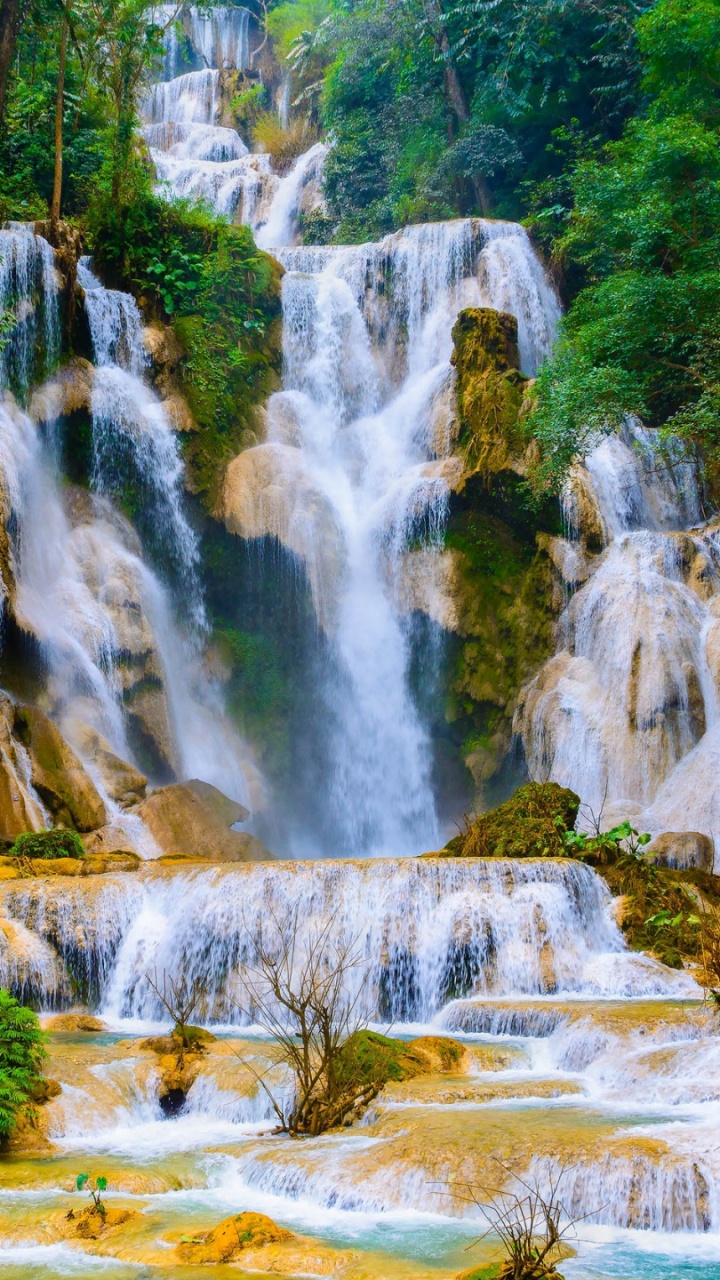 Cascades au Milieu de la Forêt Pendant la Journée. Wallpaper in 720x1280 Resolution