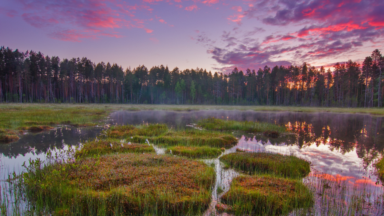 Green Grass Field Near Body of Water During Daytime. Wallpaper in 1280x720 Resolution