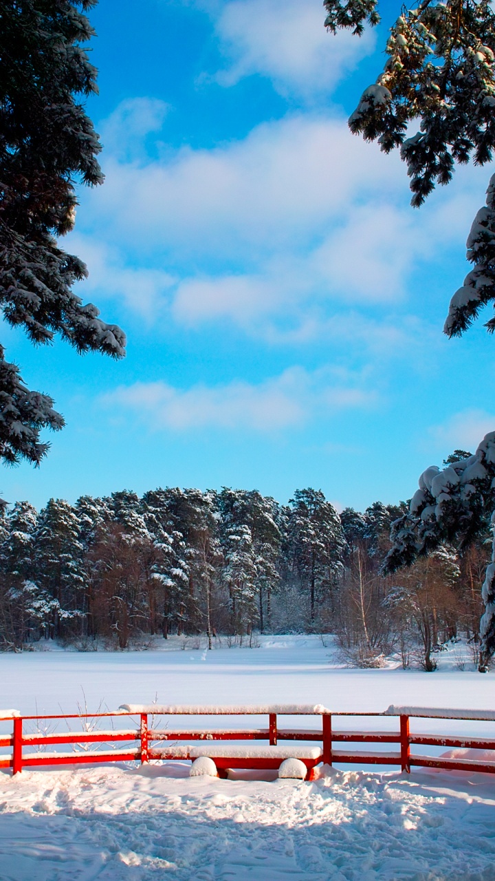 Pont Rouge et Blanc Sur la Rivière. Wallpaper in 720x1280 Resolution