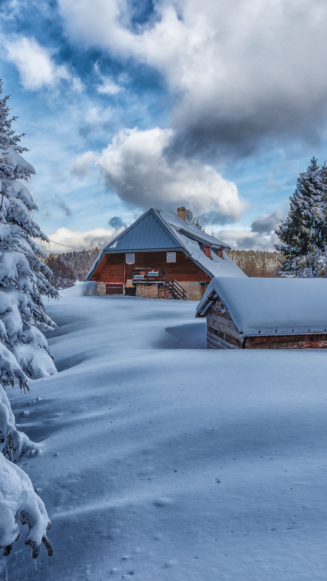 Nieve, Itzehoer Sv, Ventana, Alerce, Paisaje Natural. Wallpaper in 1080x1920 Resolution