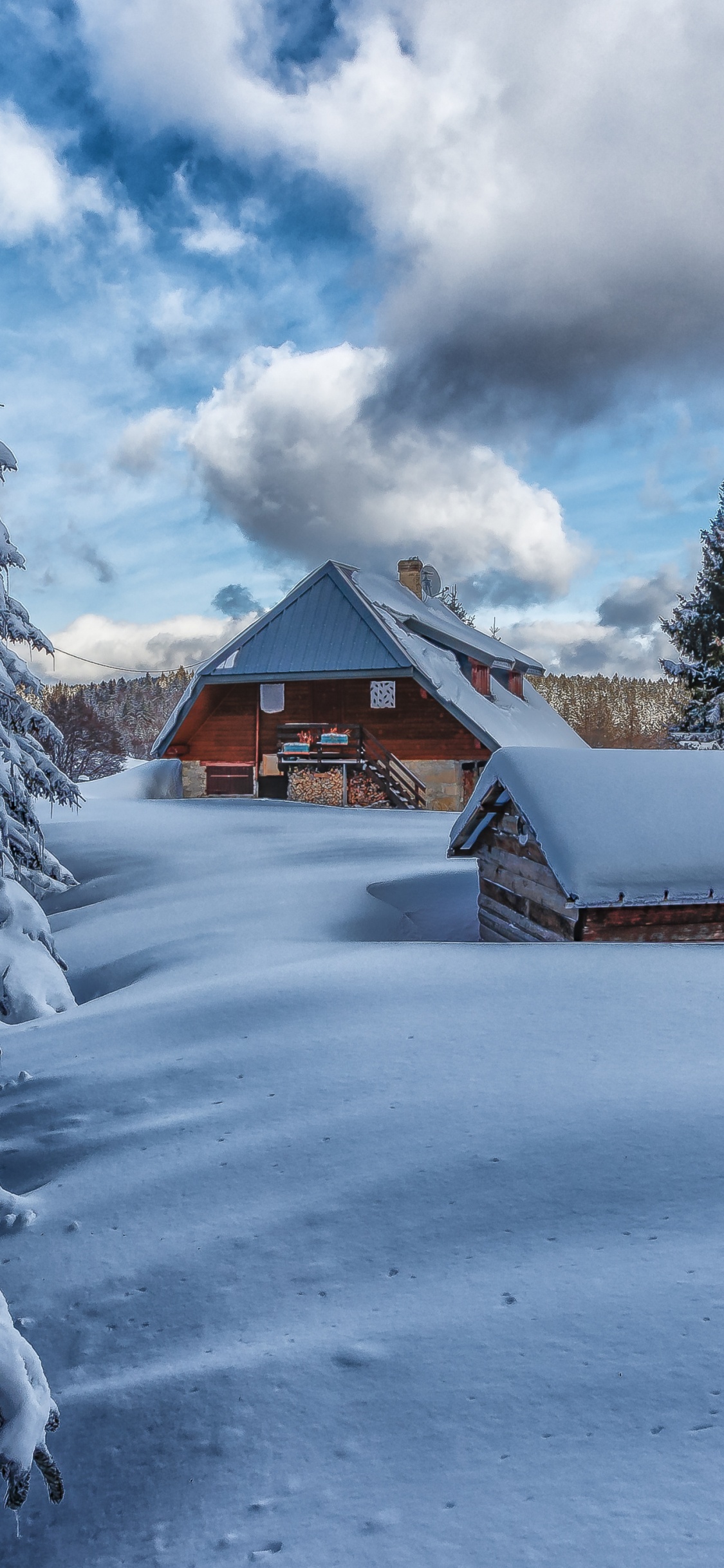 Nieve, Itzehoer Sv, Ventana, Alerce, Paisaje Natural. Wallpaper in 1125x2436 Resolution