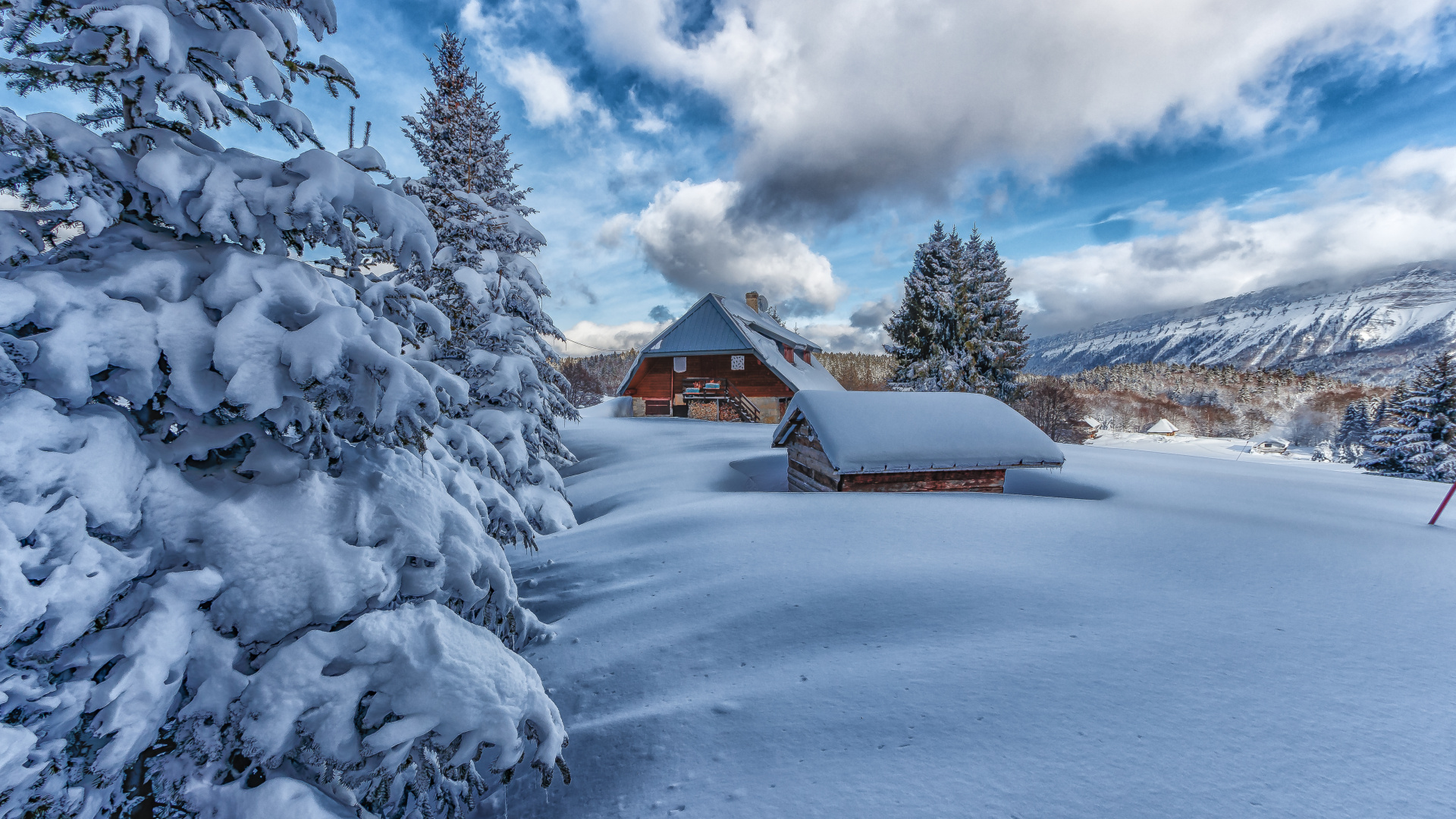 Nieve, Itzehoer Sv, Ventana, Alerce, Paisaje Natural. Wallpaper in 1920x1080 Resolution