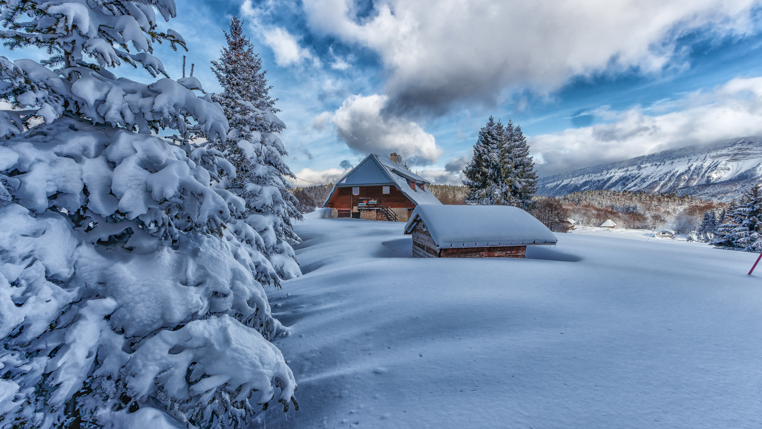 Nieve, Itzehoer Sv, Ventana, Alerce, Paisaje Natural. Wallpaper in 2560x1440 Resolution