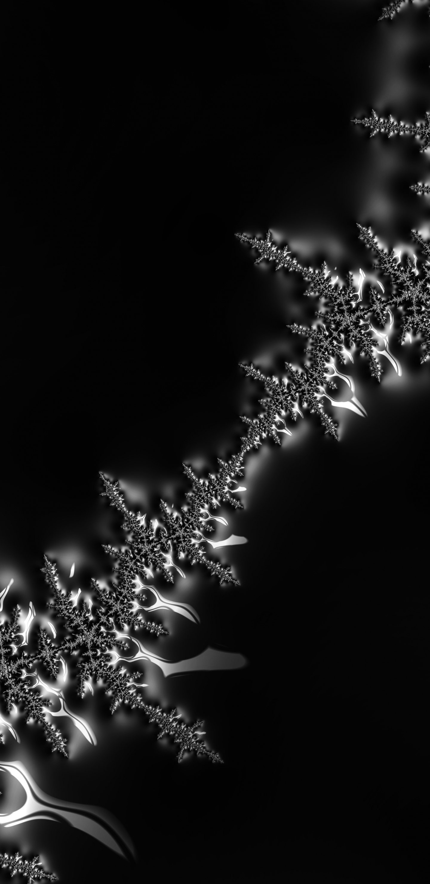 Eau, Liquid, Rameau, Pétale, Plante Terrestre. Wallpaper in 1440x2960 Resolution