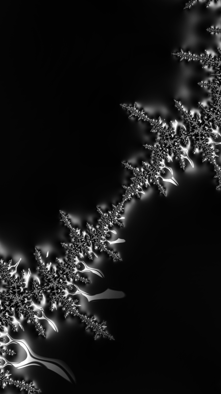 Eau, Liquid, Rameau, Pétale, Plante Terrestre. Wallpaper in 720x1280 Resolution