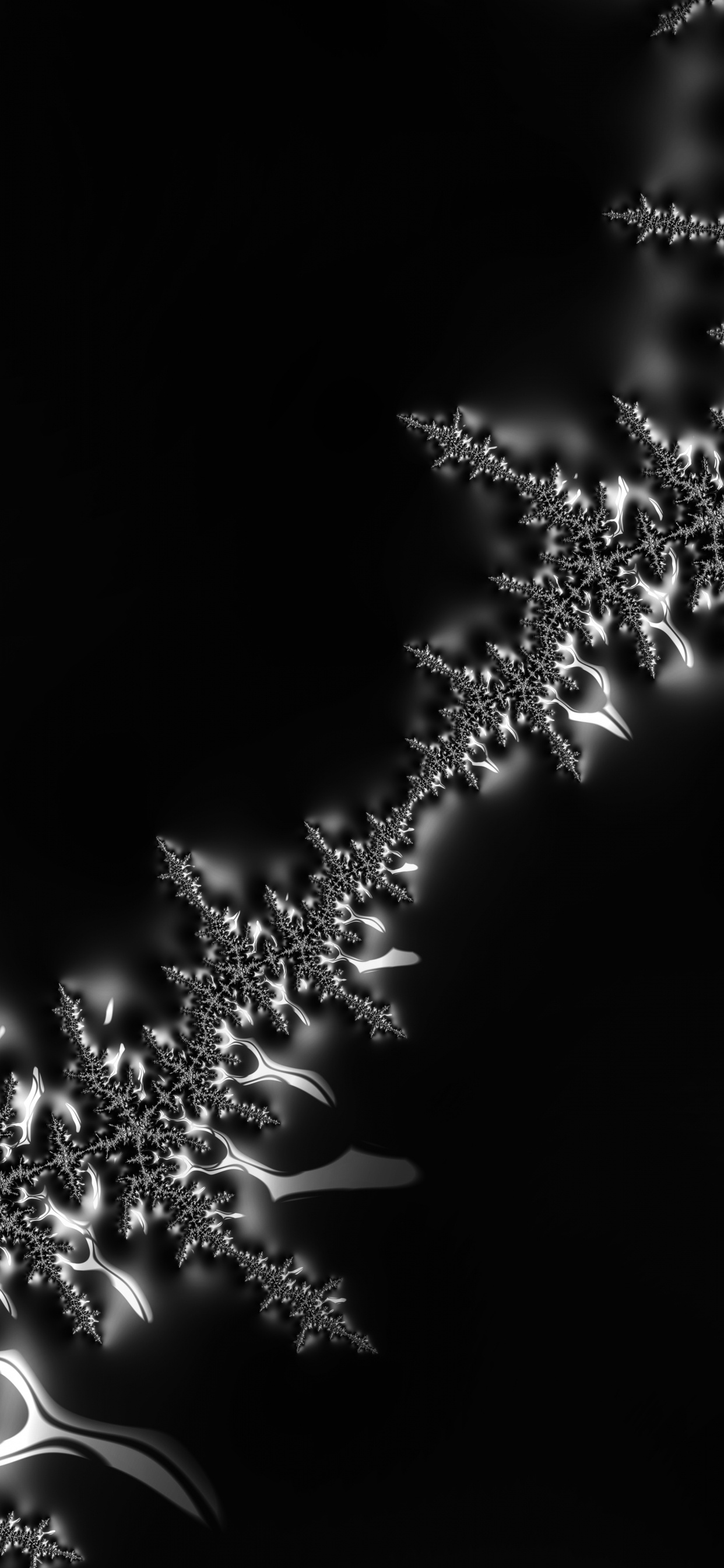 Water, Plant, Flower, Liquid, Twig. Wallpaper in 1242x2688 Resolution