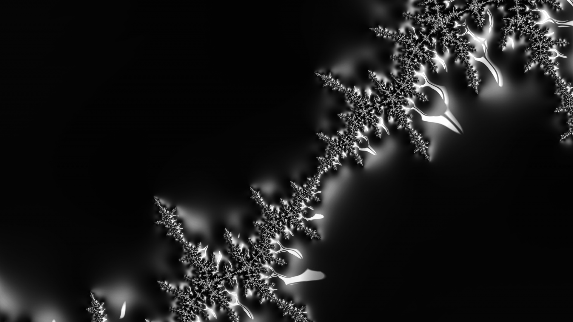 Water, Plant, Flower, Liquid, Twig. Wallpaper in 1920x1080 Resolution