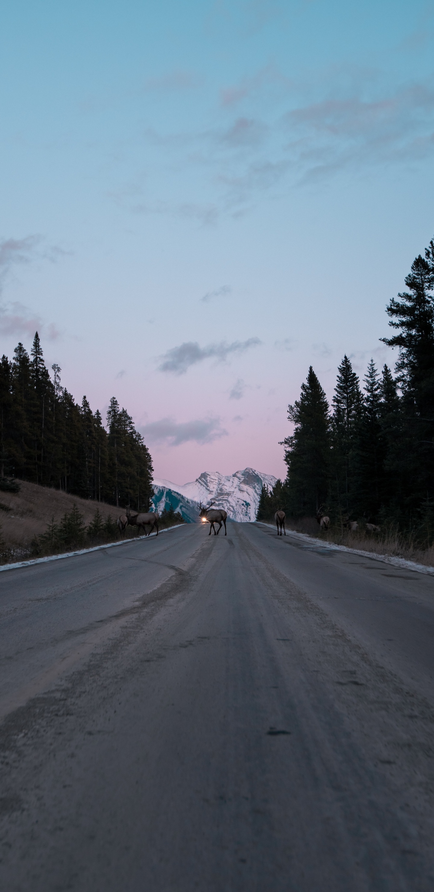 Voie, Surface de la Route, Autoroute, Artère, Asphalt. Wallpaper in 1440x2960 Resolution