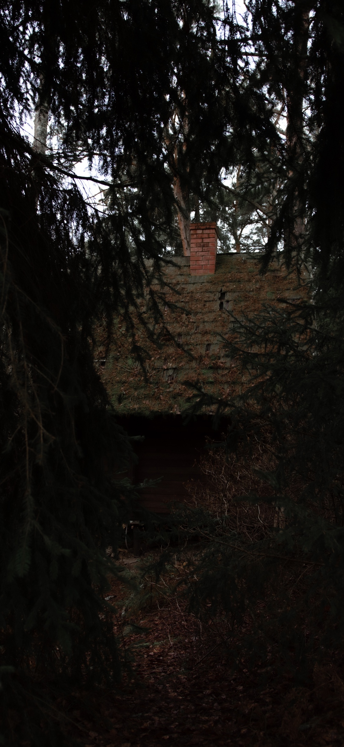 Nature, Noir, Environnement Naturel, Obscurité, Lumière. Wallpaper in 1125x2436 Resolution