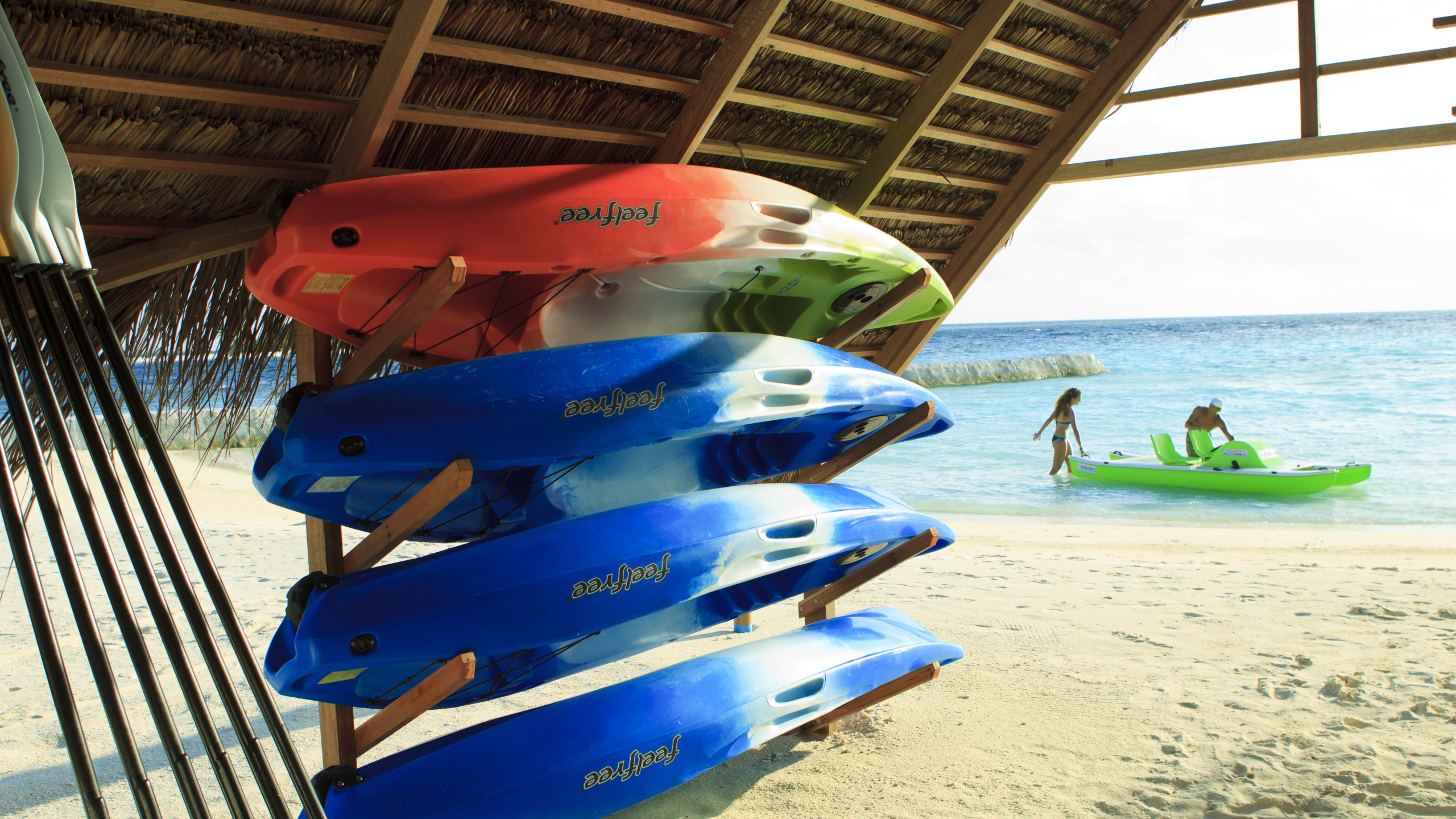 Planche de Surf Bleu et Blanc Sur la Plage. Wallpaper in 2560x1440 Resolution
