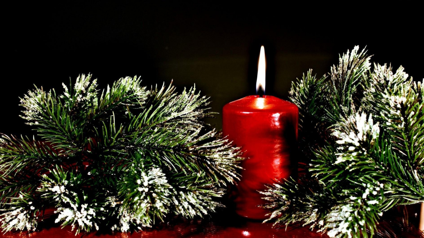 El Día De Navidad, Ramita, Rojo, Decoración de la Navidad, Navidad. Wallpaper in 1366x768 Resolution