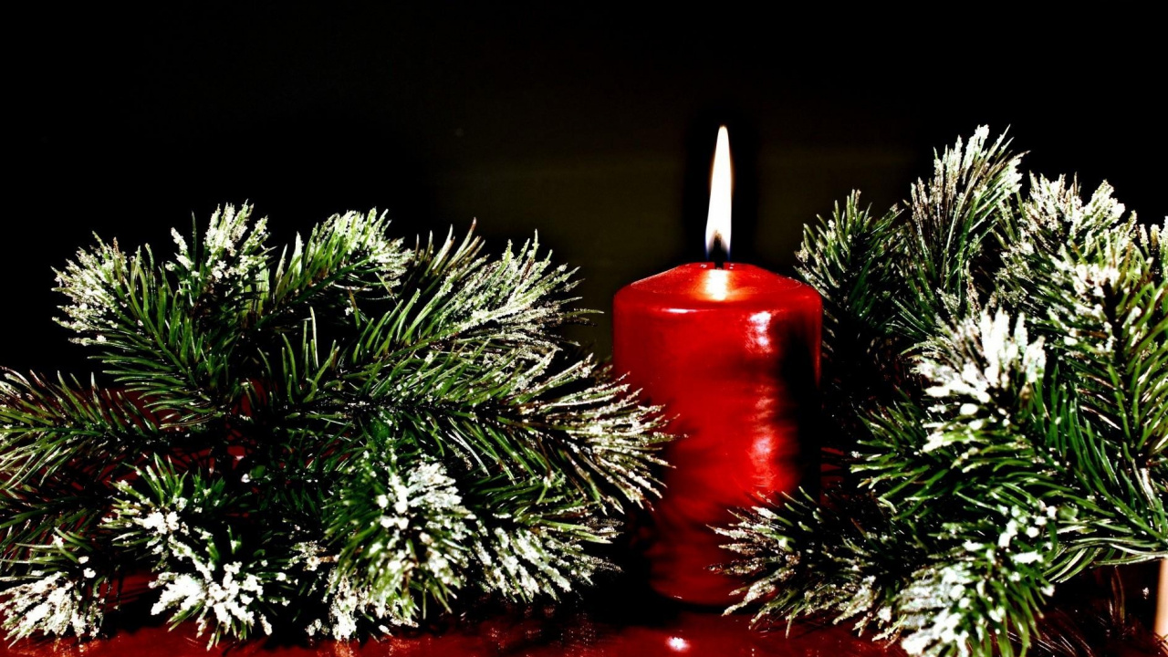 Candle, Christmas Day, Twig, Tree, Red. Wallpaper in 1280x720 Resolution