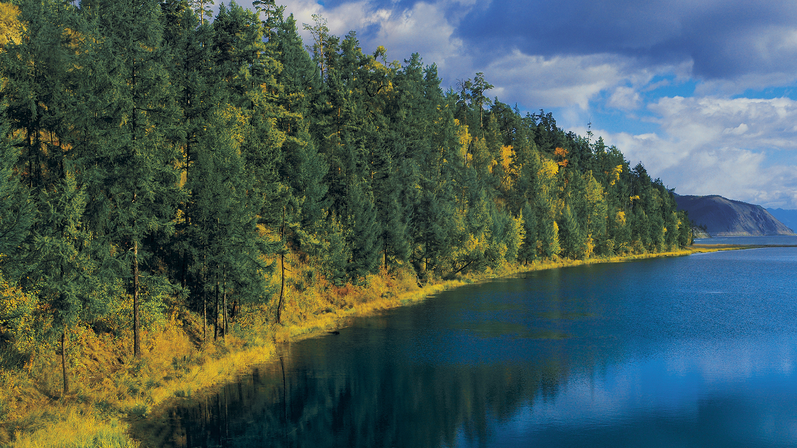 Green Trees Beside River Under Blue Sky During Daytime. Wallpaper in 2560x1440 Resolution