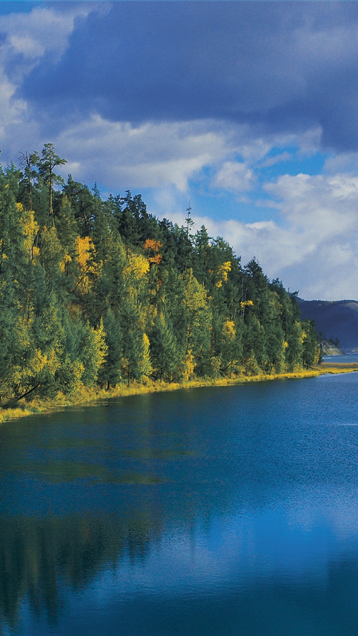 Green Trees Beside River Under Blue Sky During Daytime. Wallpaper in 720x1280 Resolution