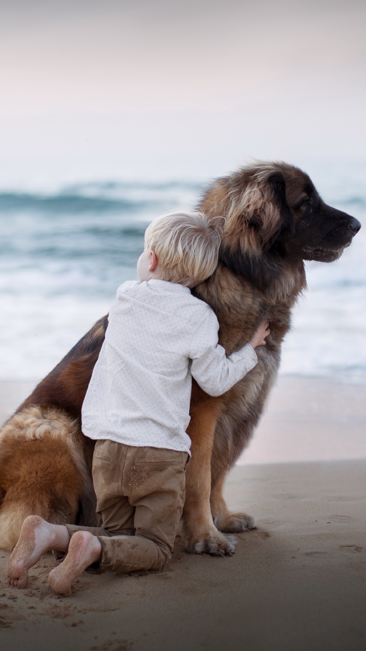 Dog, Dog Breed, Beach, Sea, Sand. Wallpaper in 720x1280 Resolution