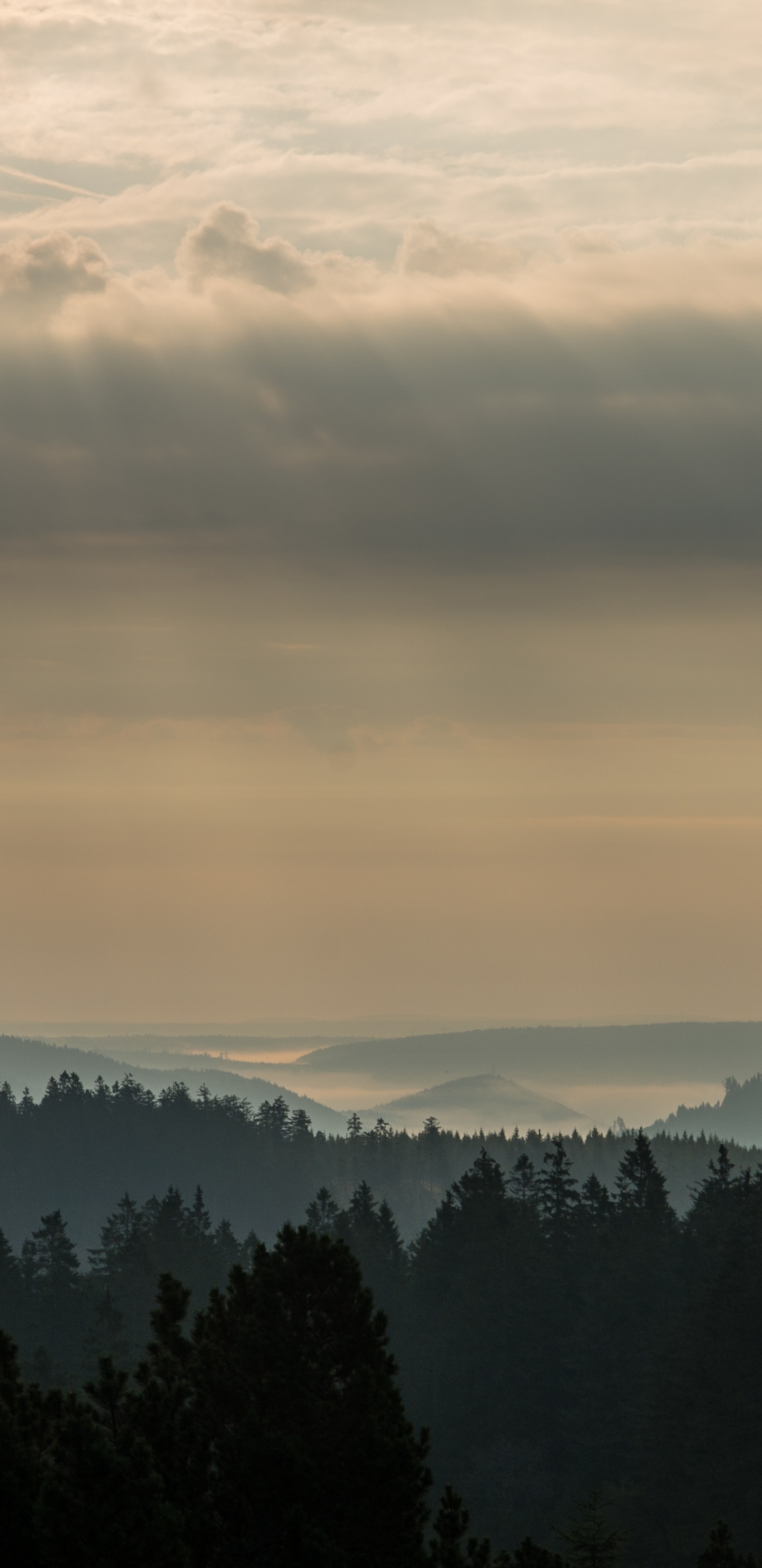 Morgen, Cloud, Natur, Bergigen Landschaftsformen, Bergkette. Wallpaper in 1440x2960 Resolution