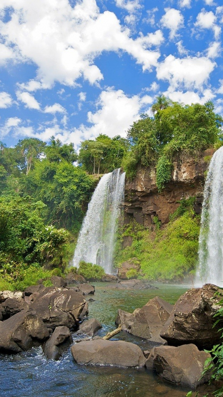 Arbres Verts à Côté de la Rivière Sous Ciel Bleu Pendant la Journée. Wallpaper in 750x1334 Resolution