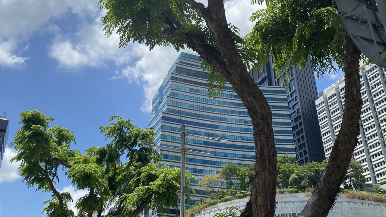 Palm Trees, Tree, Woody Plant, Trunk, Tower Block. Wallpaper in 1280x720 Resolution