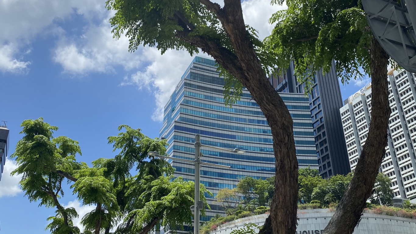 Palm Trees, Tree, Woody Plant, Trunk, Tower Block. Wallpaper in 1366x768 Resolution