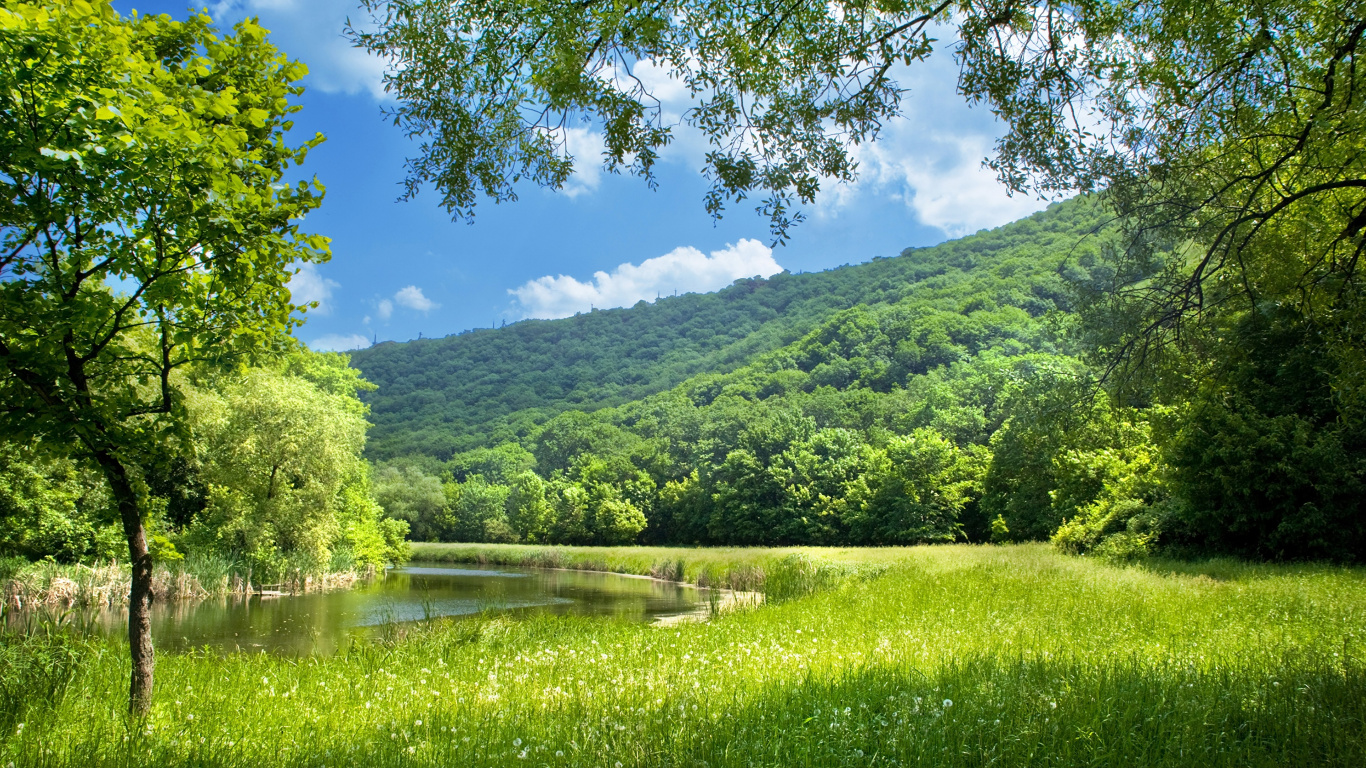 Grüne Bäume in Der Nähe Des Sees Tagsüber Lake. Wallpaper in 1366x768 Resolution