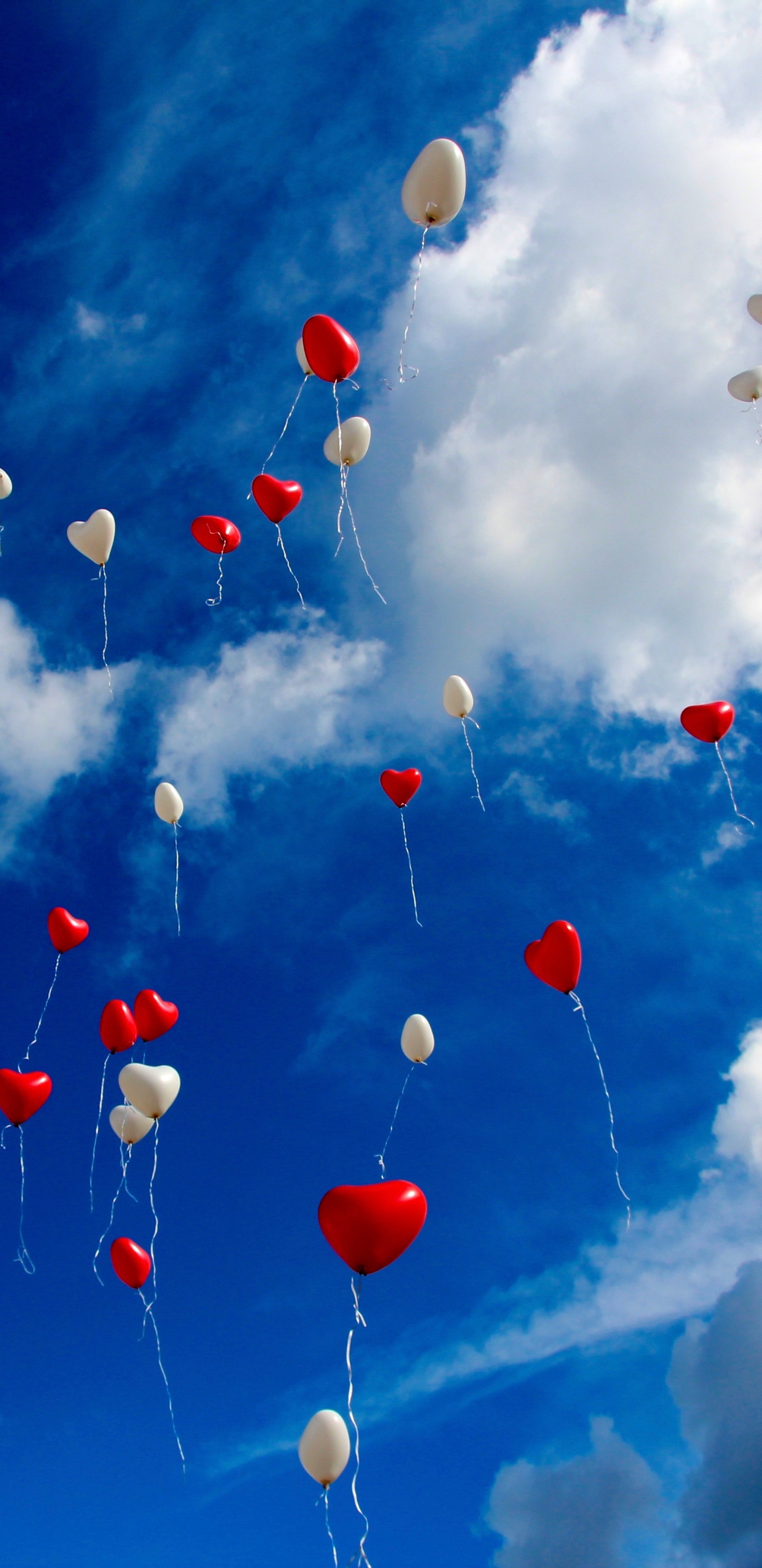 Balloon, Heart, Blue, Cloud, Daytime. Wallpaper in 1440x2960 Resolution