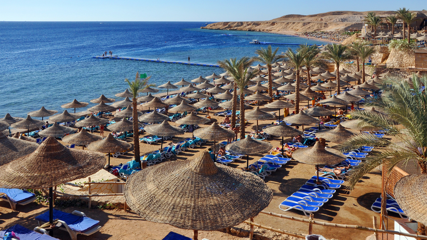 Brown and White Lounge Chairs on Beach During Daytime. Wallpaper in 1366x768 Resolution