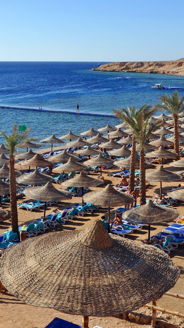 Brown and White Lounge Chairs on Beach During Daytime. Wallpaper in 720x1280 Resolution