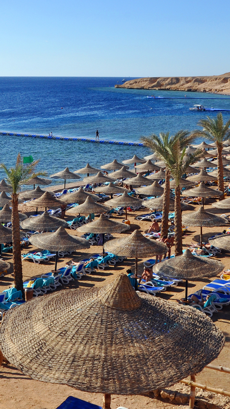 Chaises Longues Brunes et Blanches Sur la Plage Pendant la Journée. Wallpaper in 750x1334 Resolution